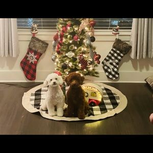 Meet your Posher, Tanzie